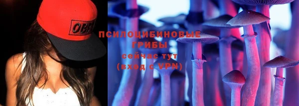 кокс Алзамай