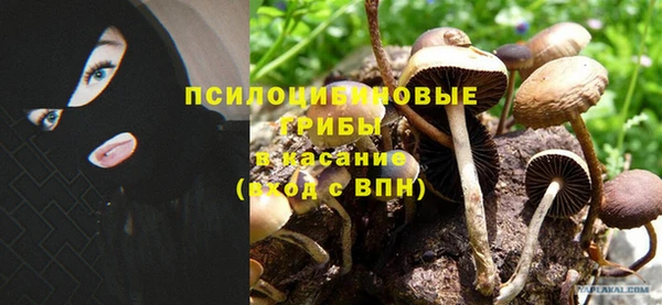 кокс Алзамай