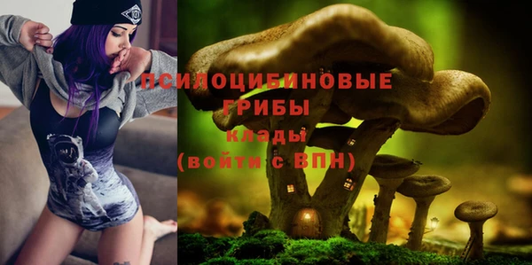 кокс Алзамай
