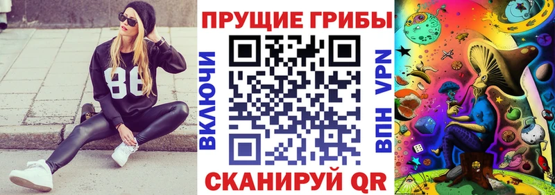 Галлюциногенные грибы прущие грибы  Калининск 
